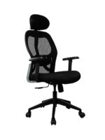 SPECTRUM RC-48 High-Back Ergonomic Mesh Office Chair - Image 2