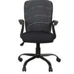 SPECTRUM RC-106 Low Back Cushioned Office Chair