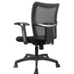 SPECTRUM RC-94 Low Back Ergonomic Mesh Office Chair
