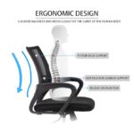 SPECTRUM RC-97 Low Back Ergonomic Mesh Office Chair - Image 3