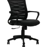 SPECTRUM RC-98 Low Back Ergonomic Mesh Office Chair