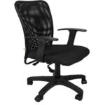 SPECTRUM RC-95 Low Back Ergonomic Mesh Office Chair