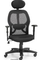 SPECTRUM RC-47 High Back Ergonomic Mesh Office Chair