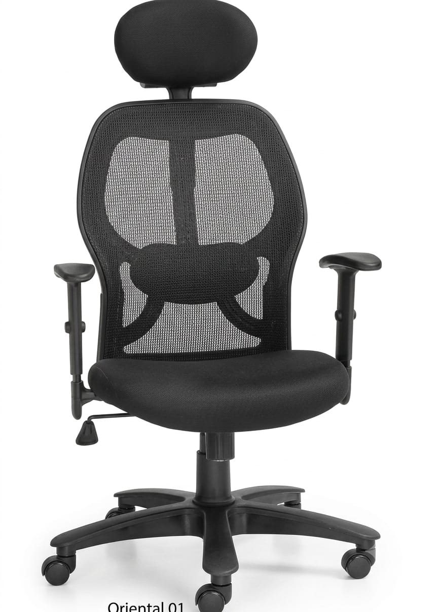 WhatsApp Image 2026-09-03 at 8.07.34 PM SPECTRUM RC-47 High Back Ergonomic Mesh Office Chair - Image 1