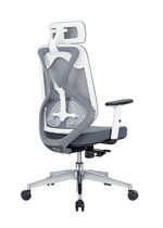 SPECTRUM RC-54CU-WH High Back Ergonomic Mesh Office Chair – White
