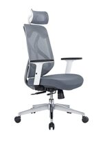 SPECTRUM RC-54CU-WH High Back Ergonomic Mesh Office Chair – White - Image 2